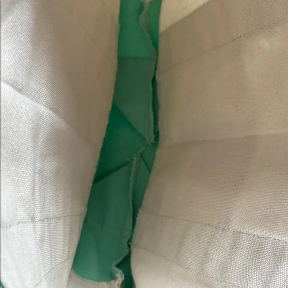 New Trader Joe’s light green bag - Picture 2 of 3